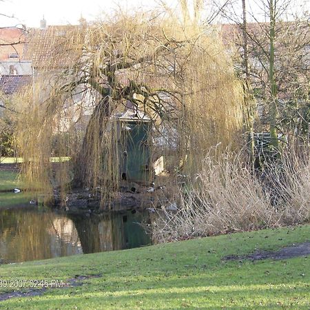 B&B Het Rommelwater Gent Dış mekan fotoğraf