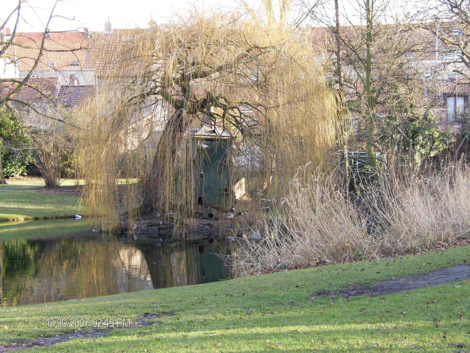 B&B Het Rommelwater Gent Dış mekan fotoğraf